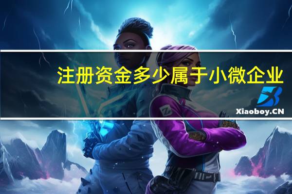注册资金多少属于小微企业