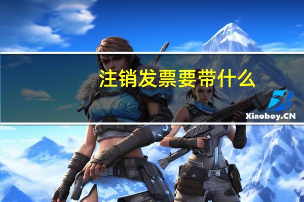 注销发票要带什么