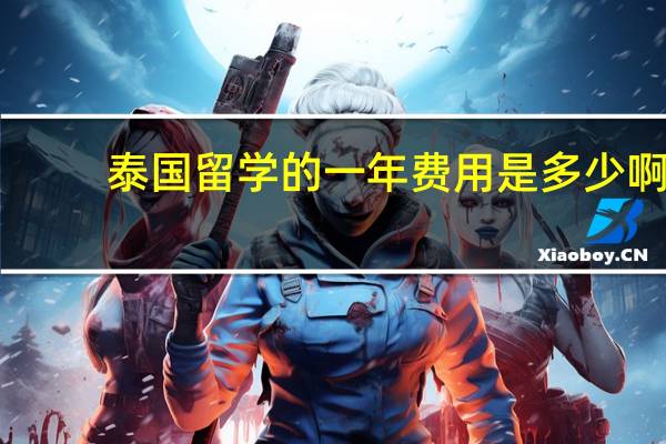 泰国留学的一年费用是多少啊