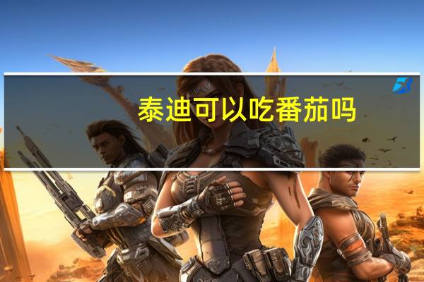 泰迪可以吃番茄吗