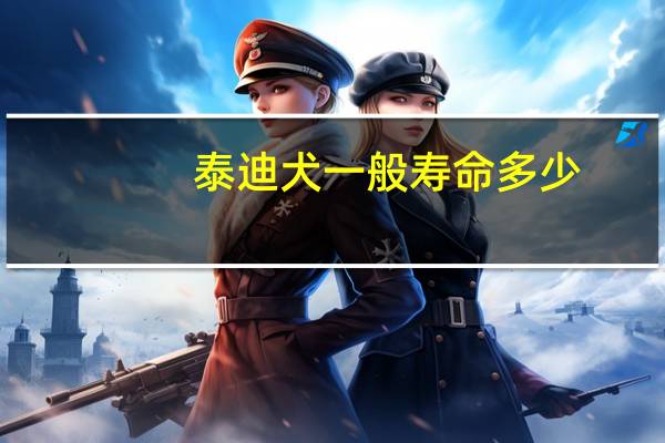 泰迪犬一般寿命多少