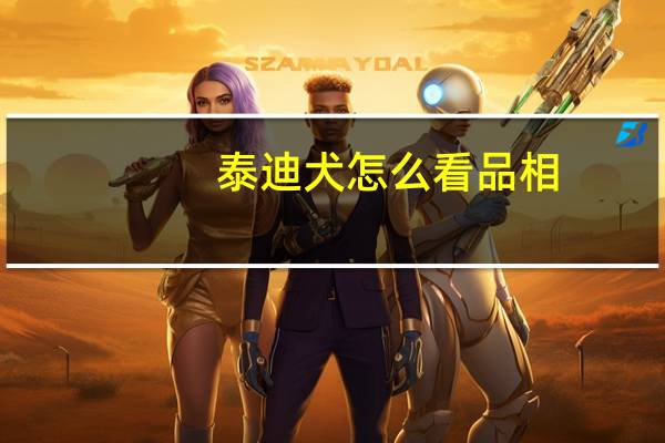 泰迪犬怎么看品相