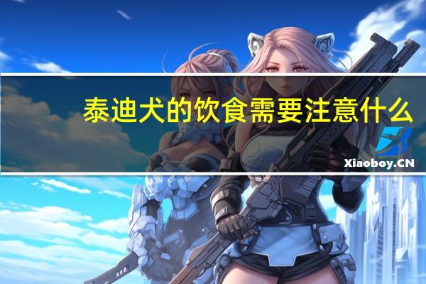 泰迪犬的饮食需要注意什么