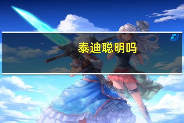 泰迪聪明吗
