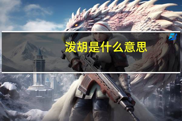 泼胡是什么意思