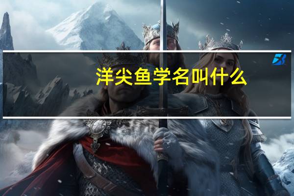 洋尖鱼学名叫什么