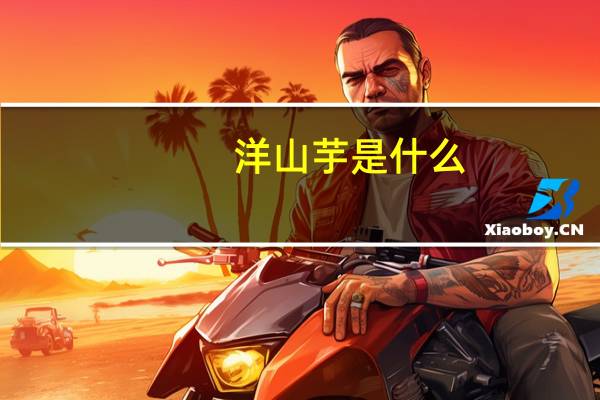 洋山芋是什么