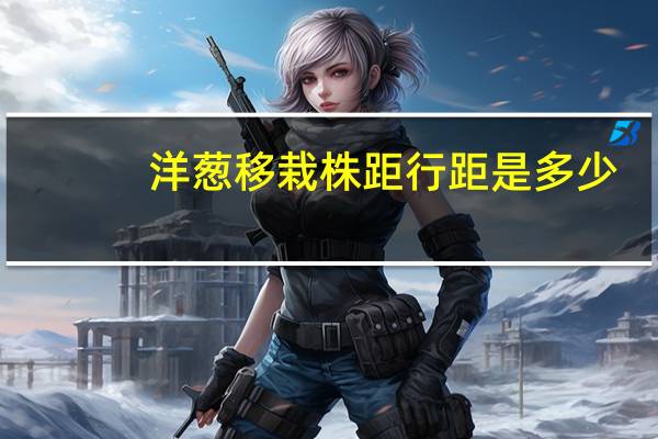 洋葱移栽株距行距是多少
