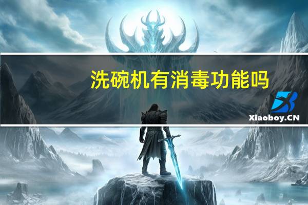 洗碗机有消毒功能吗