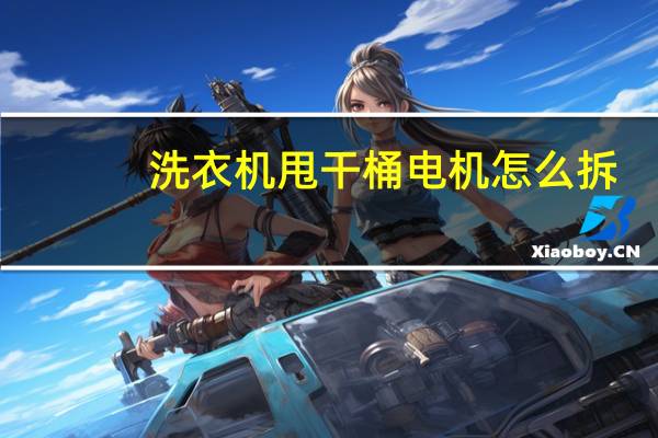 洗衣机甩干桶电机怎么拆