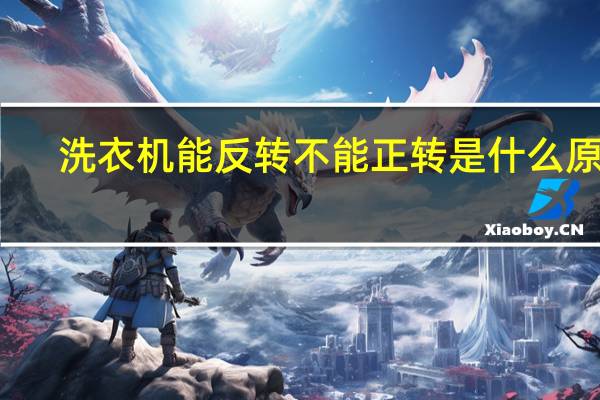 洗衣机能反转不能正转是什么原因