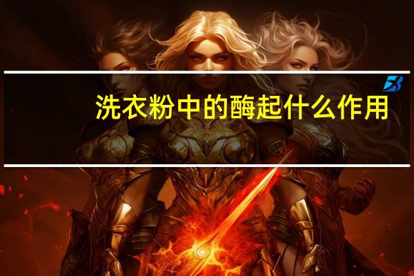 洗衣粉中的酶起什么作用