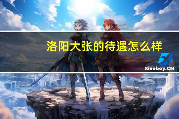 洛阳大张的待遇怎么样