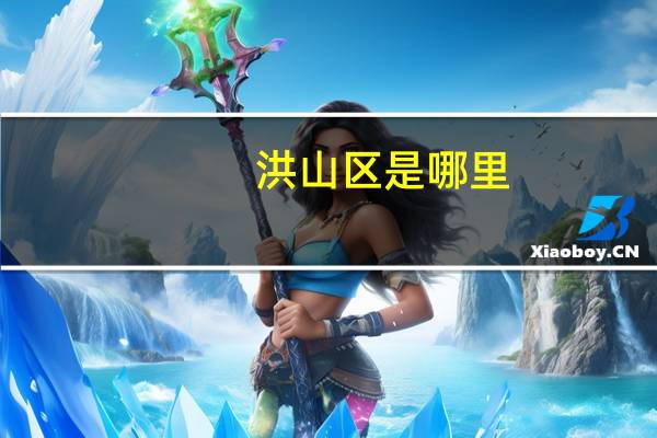 洪山区是哪里