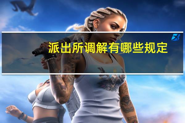 派出所调解有哪些规定