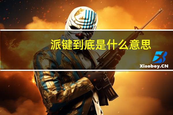 派键到底是什么意思