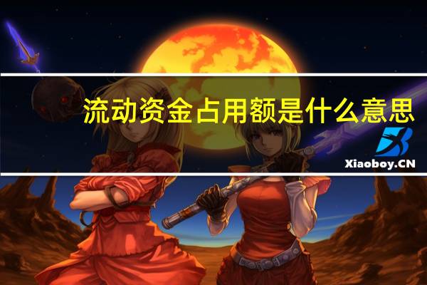 流动资金占用额是什么意思