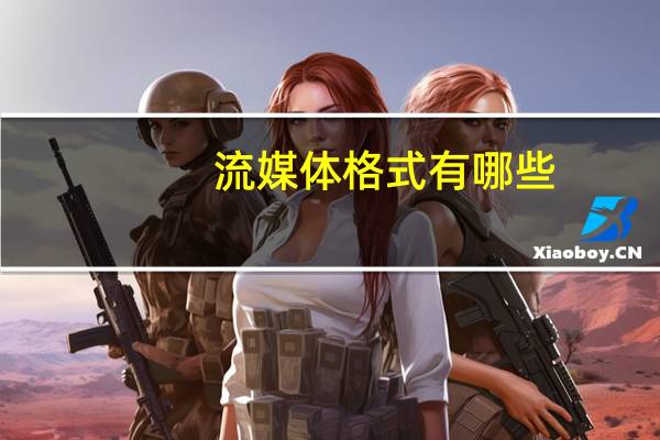流媒体格式有哪些
