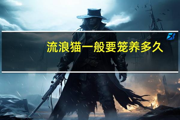 流浪猫一般要笼养多久