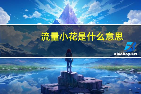 流量小花是什么意思