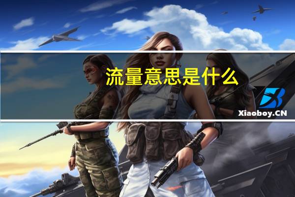流量意思是什么