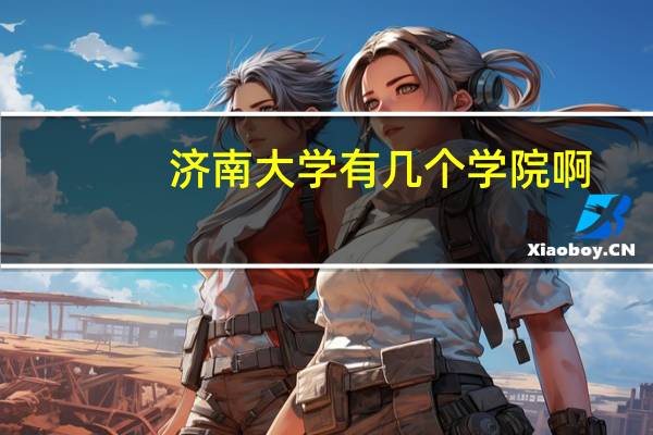 济南大学有几个学院啊