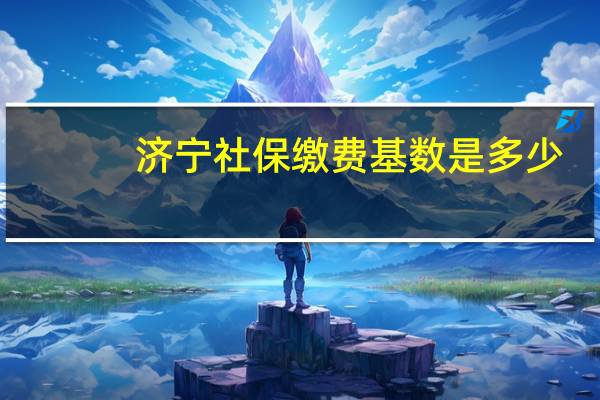 济宁社保缴费基数是多少