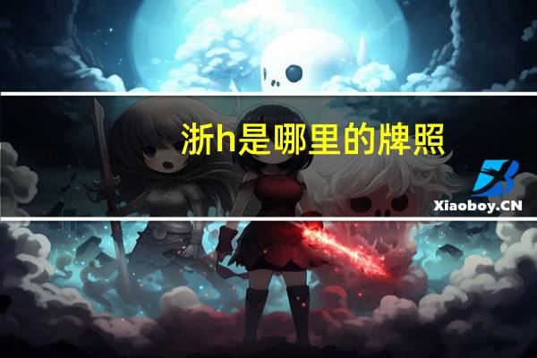 浙h是哪里的牌照