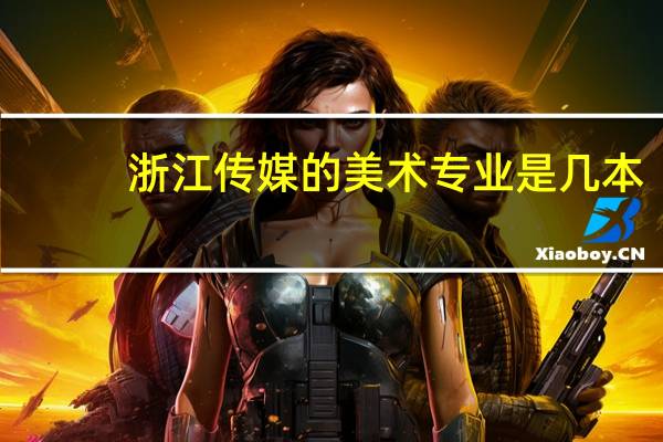 浙江传媒的美术专业是几本