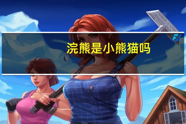 浣熊是小熊猫吗