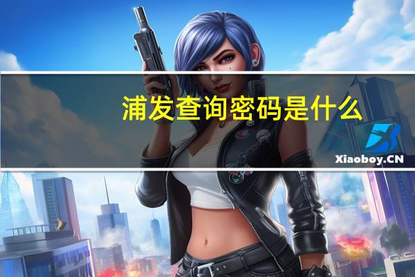 浦发查询密码是什么
