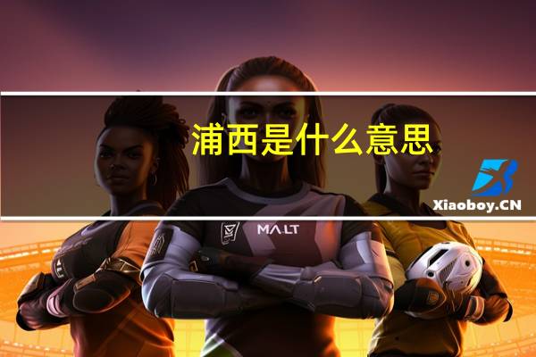 浦西是什么意思