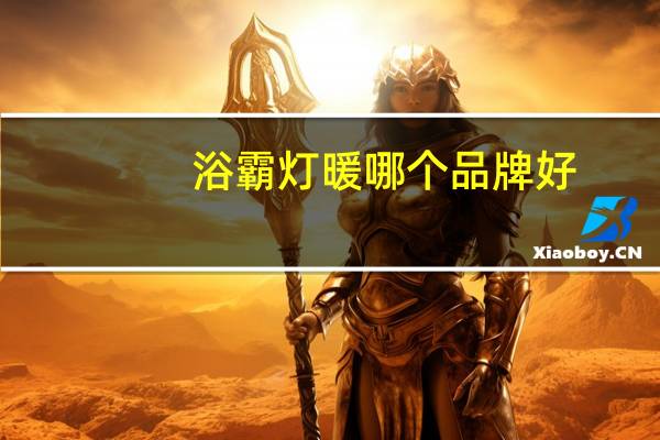 浴霸灯暖哪个品牌好