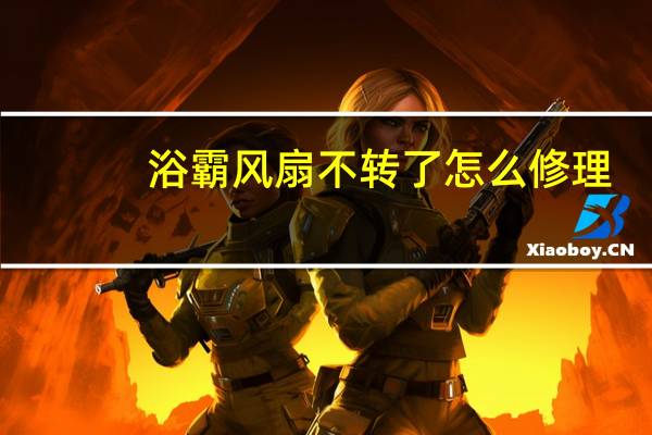 浴霸风扇不转了怎么修理