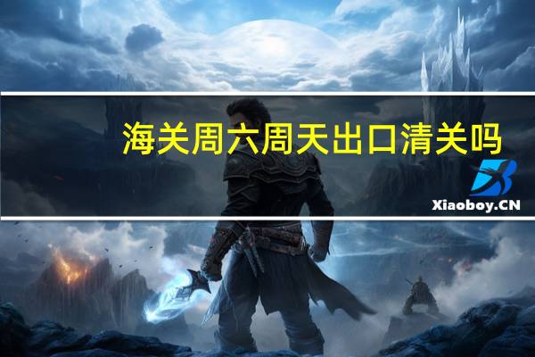 海关周六周天出口清关吗