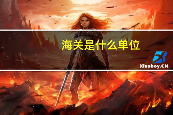 海关是什么单位