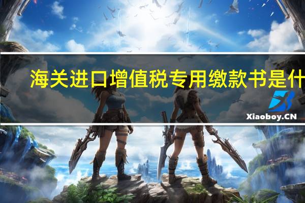 海关进口增值税专用缴款书是什么
