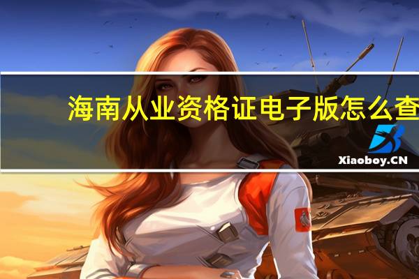 海南从业资格证电子版怎么查
