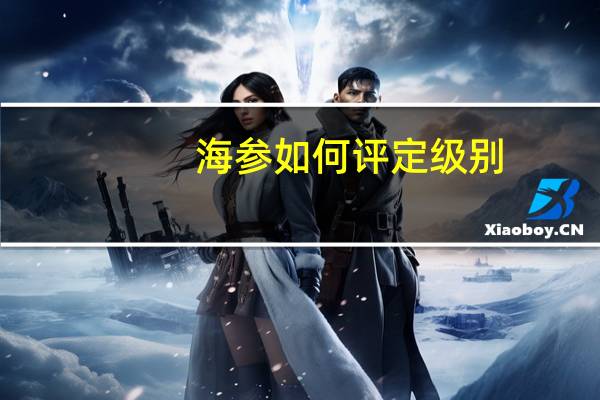 海参如何评定级别
