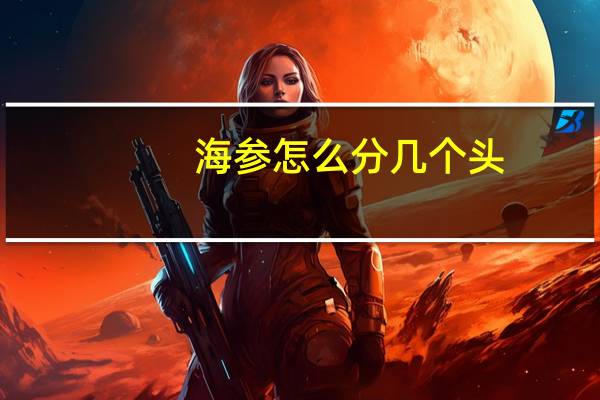 海参怎么分几个头