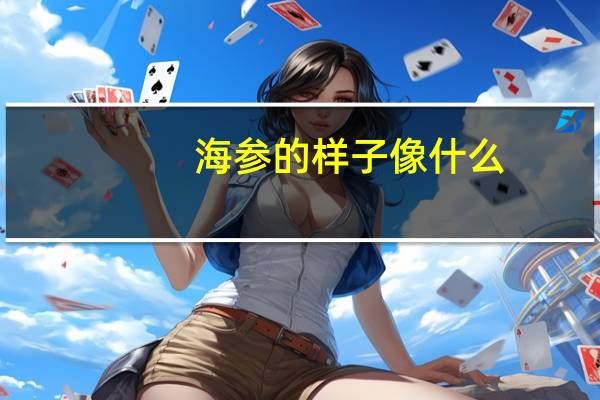 海参的样子像什么