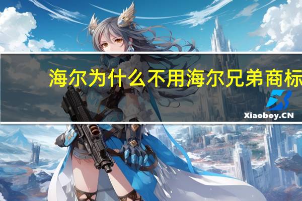 海尔为什么不用海尔兄弟商标