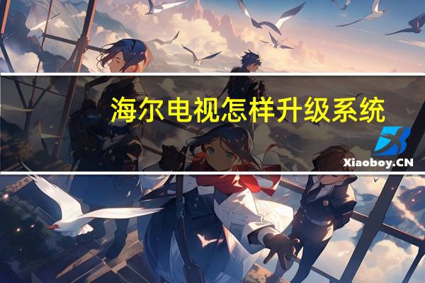 海尔电视怎样升级系统