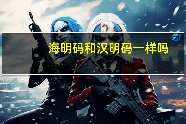 海明码和汉明码一样吗