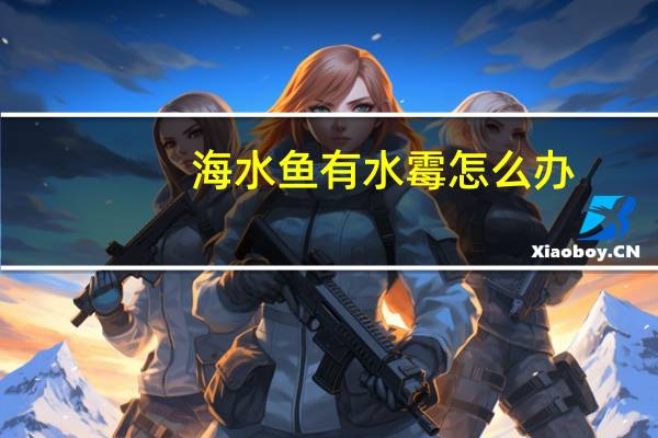 海水鱼有水霉怎么办