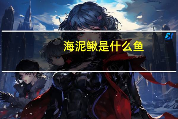 海泥鳅是什么鱼