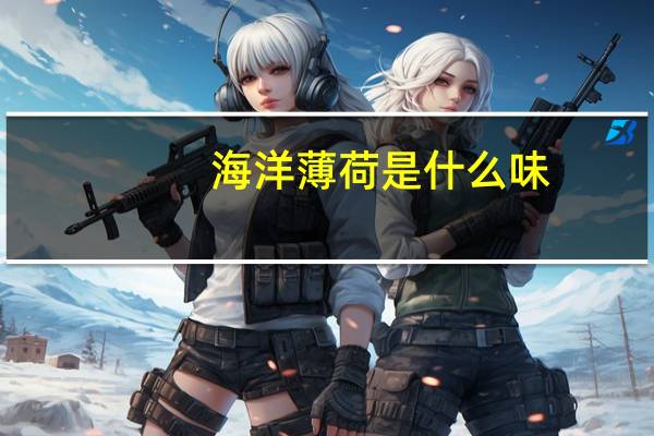 海洋薄荷是什么味