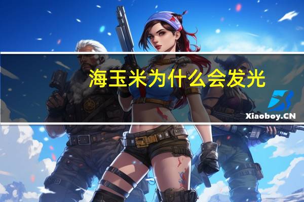 海玉米为什么会发光