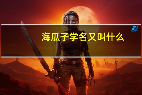 海瓜子学名又叫什么