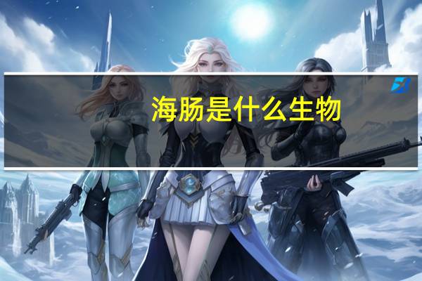 海肠是什么生物